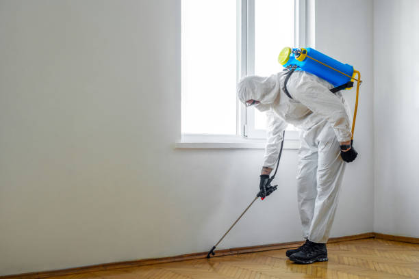 Best Pest Prevention Services  in Sughter, LA